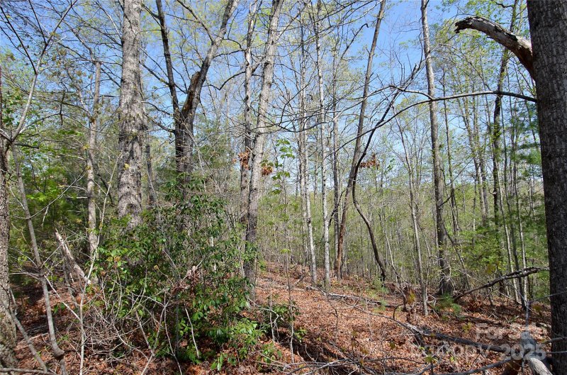 Property image 3 at 00 Forest Country Drive, Marion, NC 28752