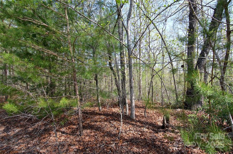 Property image 4 at 00 Forest Country Drive, Marion, NC 28752