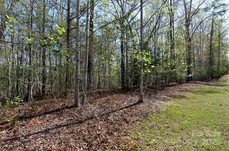 Property image 5 at 00 Forest Country Drive, Marion, NC 28752