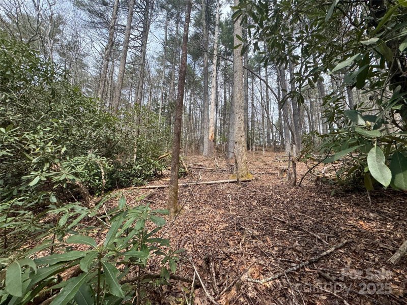 Property image 5 of Tract A Cherrywood Lane in Sweetwater Farms, Pisgah Forest, NC 28768