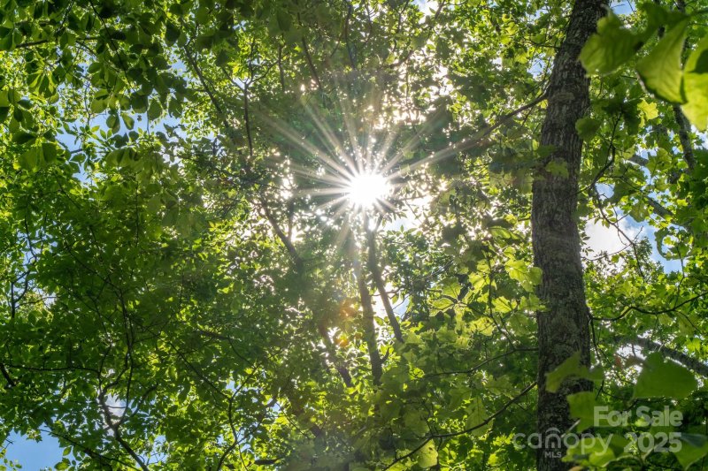 Property image 2 of 99999 Hawk Ridge in Saddle Ridge, Asheville, NC 28804