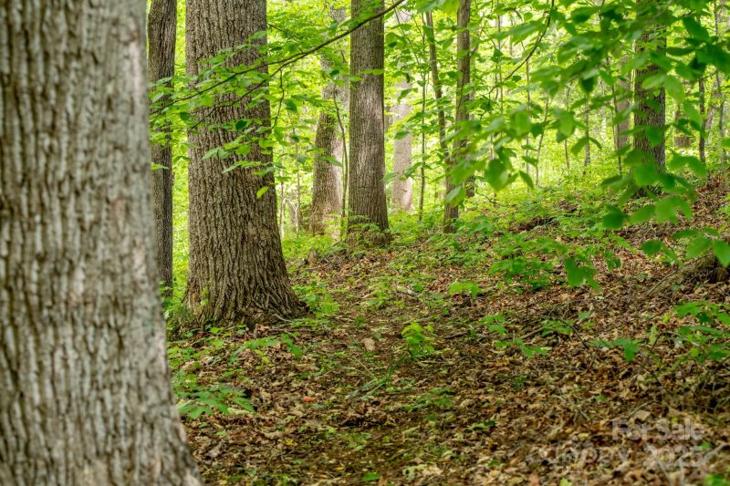 Property image 5 of 99999 Hawk Ridge in Saddle Ridge, Asheville, NC 28804