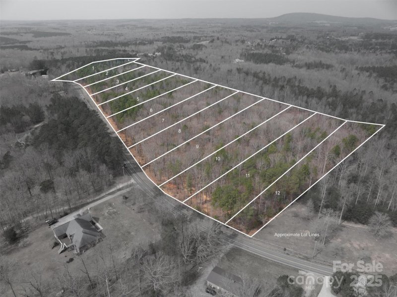 Property image 2 at 00 Forney Hill Road, Denver, NC 28037