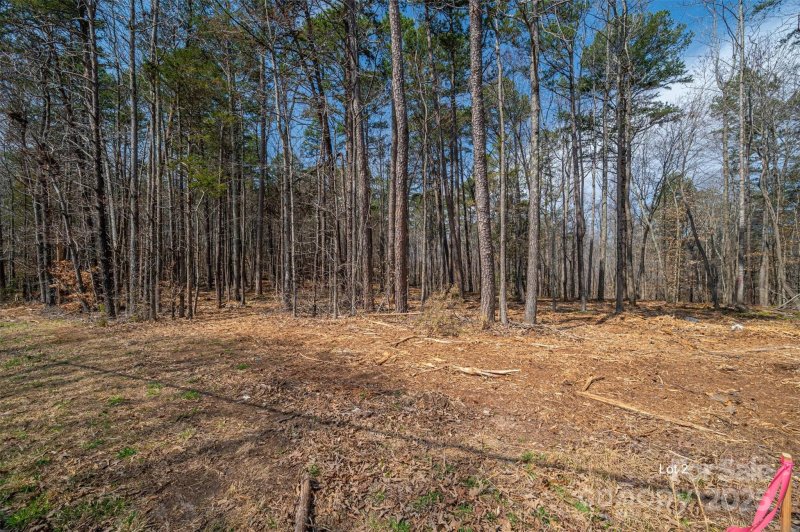 Property image 3 at 00 Forney Hill Road, Denver, NC 28037