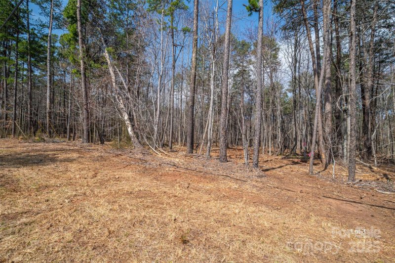 Property image 2 at 00 Forney Hill Road, Denver, NC 28037