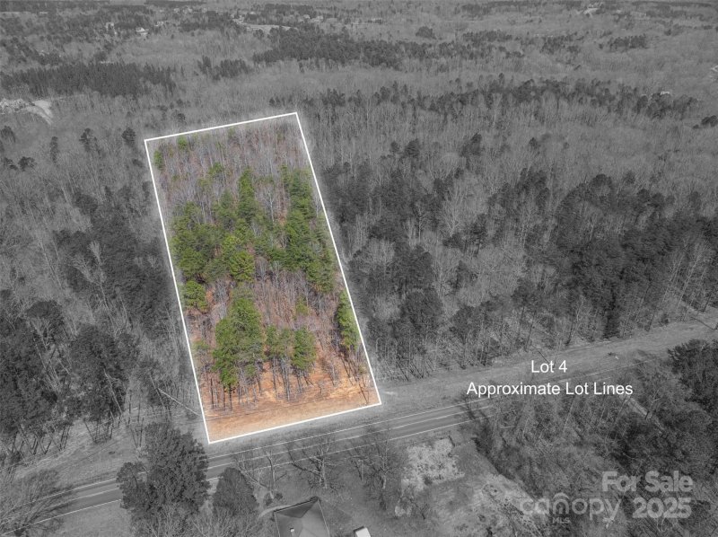 Property image 2 at 00 Forney Hill Road, Denver, NC 28037