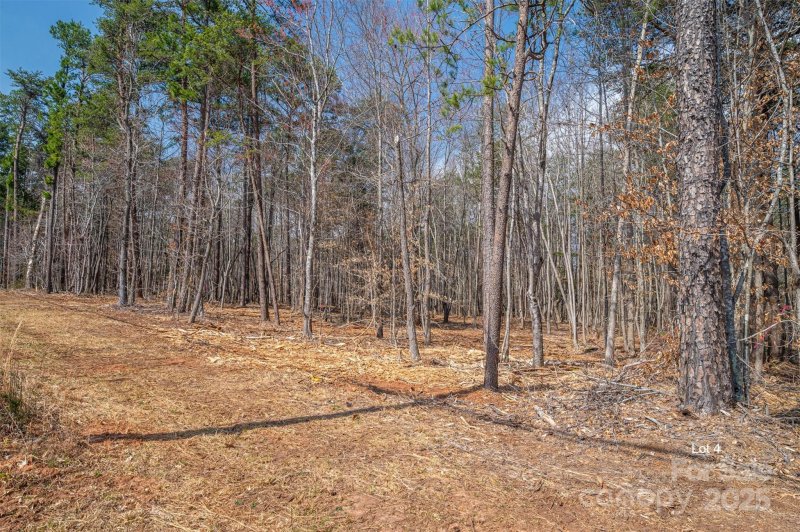 Property image 4 at 00 Forney Hill Road, Denver, NC 28037