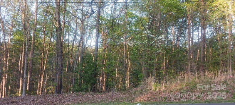 Property image 3 at 122 Plum Tree Lane, Statesville, NC 28677