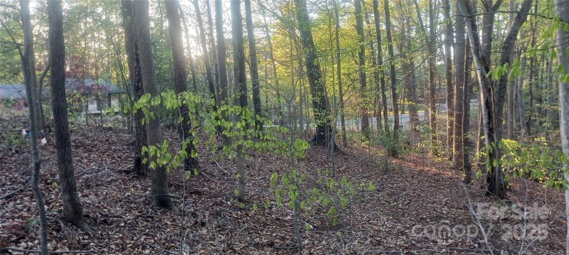 Property image 4 at 122 Plum Tree Lane, Statesville, NC 28677