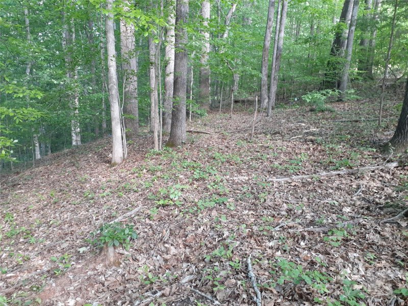 Property image 5 at 122 Plum Tree Lane, Statesville, NC 28677