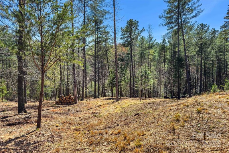 Property image 3 of 3107 Channel View Cove in Waters Edge, Morganton, NC 28655