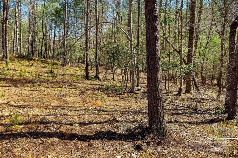 Property image 4 of 3107 Channel View Cove in Waters Edge, Morganton, NC 28655