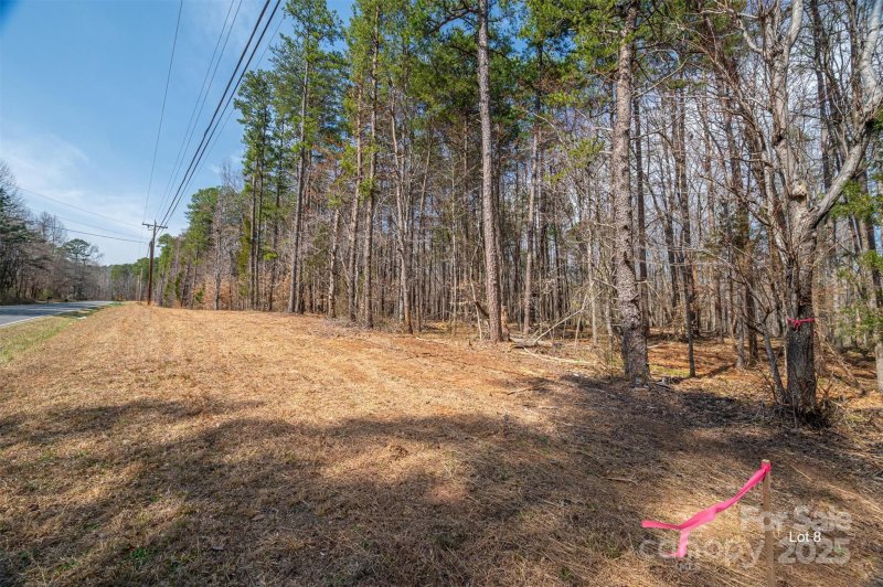 Property image 2 at 00 Forney Hill Road, Denver, NC 28037