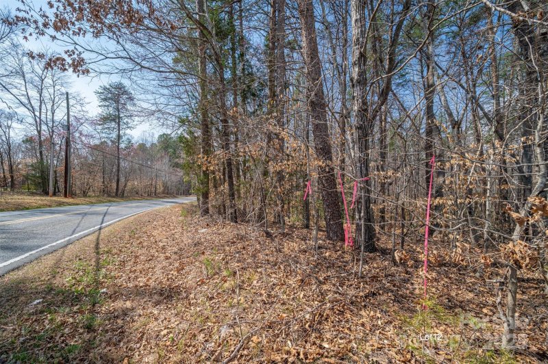 Property image 4 at 00 Forney Hill Road, Denver, NC 28037