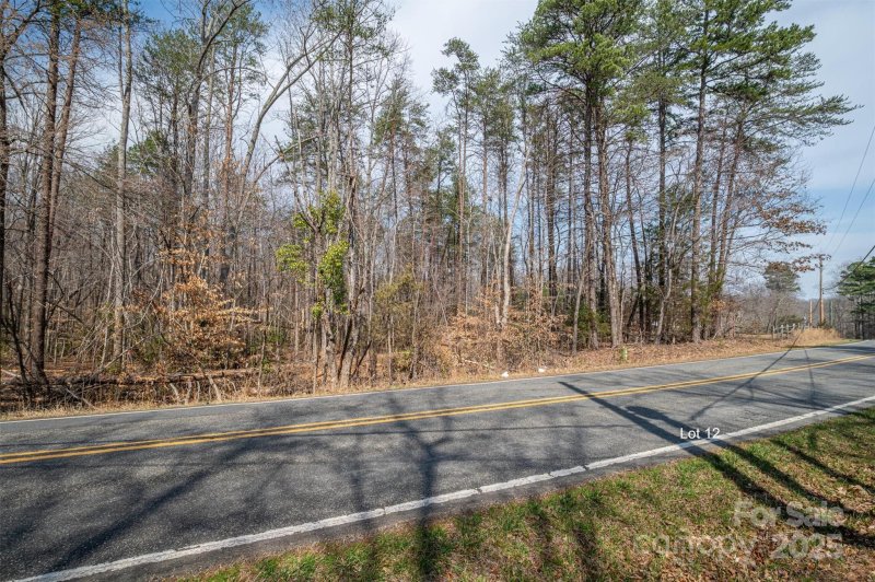 Property image 5 at 00 Forney Hill Road, Denver, NC 28037