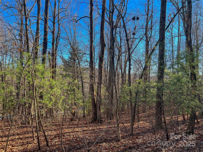 Property image 4 at 203 Bent Pine Trace, Hendersonville, NC 28739