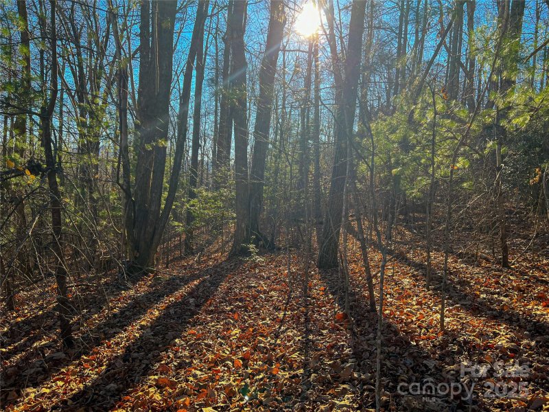 Property image 5 at 203 Bent Pine Trace, Hendersonville, NC 28739