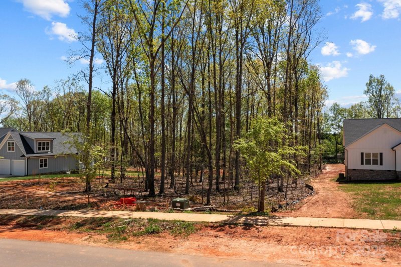 Property image 3 at 0000 Brancer Lane, Lincolnton, NC 28092