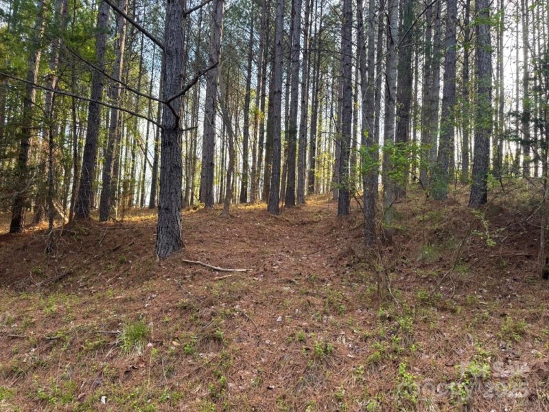 Property image 3 at 0 Clearwater Parkway, Rutherfordton, NC 28139