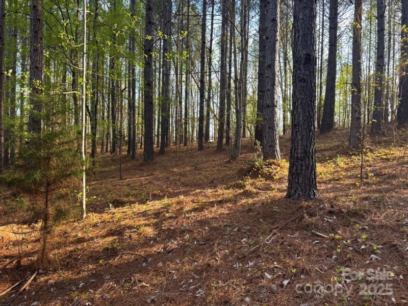 Property image 4 at 0 Clearwater Parkway, Rutherfordton, NC 28139