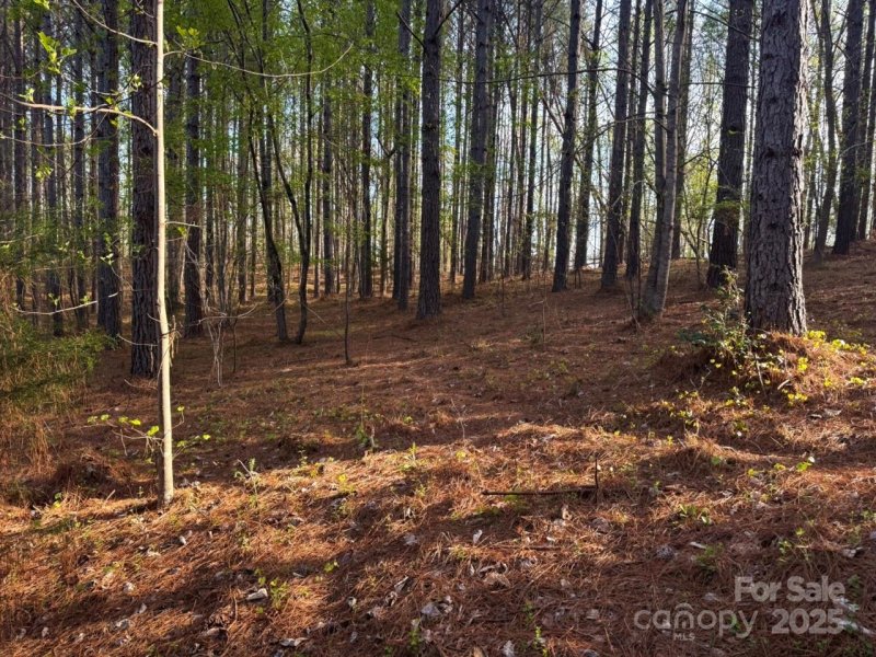 Property image 5 at 0 Clearwater Parkway, Rutherfordton, NC 28139