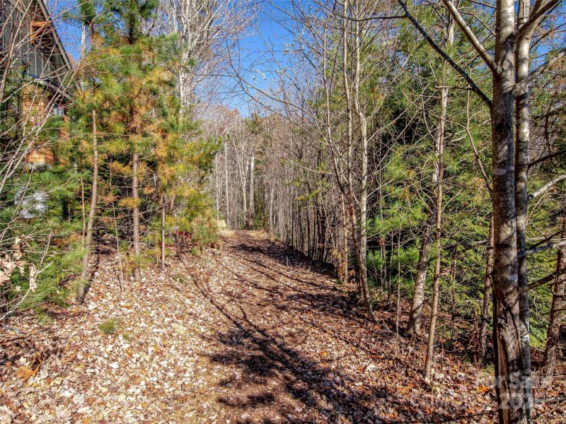 Property image 5 of 36 Slide Rock Way in Southcliff, Fairview, NC 28730