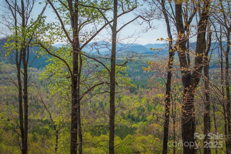 Property image 3 of 183 Woodgate Trail in Grandview Peaks, Nebo, NC 28761