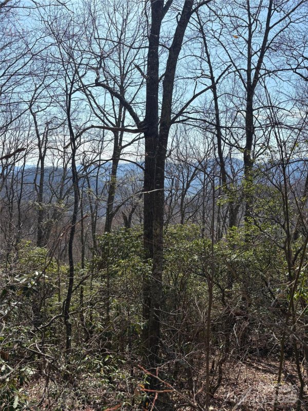 Property image 2 at Tbd Running Deer Trail, Waynesville, NC 28786
