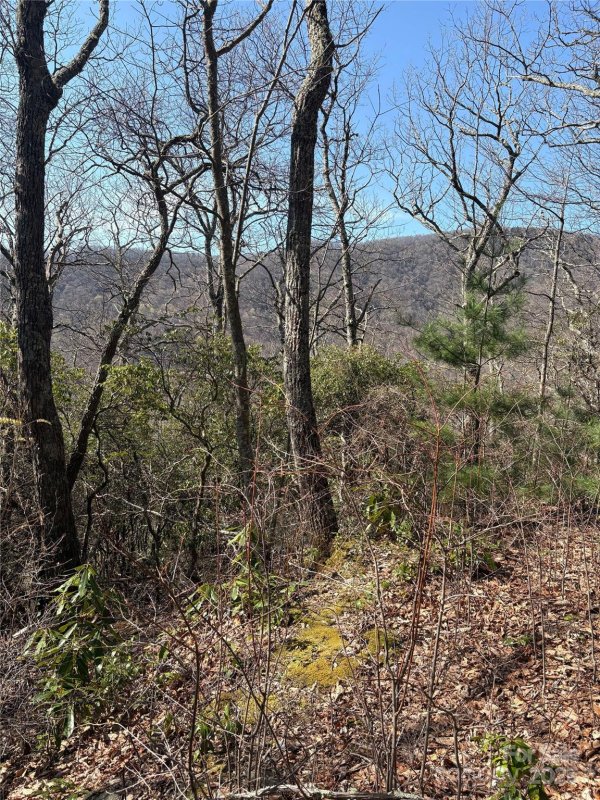 Property image 3 at Tbd Running Deer Trail, Waynesville, NC 28786