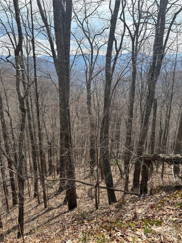 Property image 4 at Tbd Running Deer Trail, Waynesville, NC 28786
