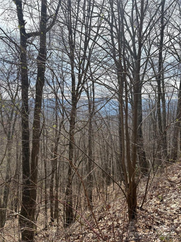 Property image 5 at Tbd Running Deer Trail, Waynesville, NC 28786