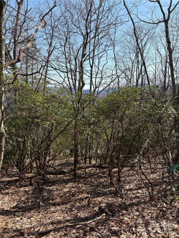 Property image 3 at Tbd Leatherwood Road, Maggie Valley, NC 28751