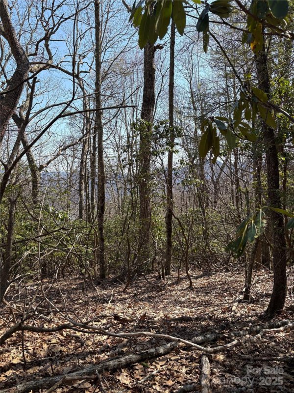 Property image 4 at Tbd Leatherwood Road, Maggie Valley, NC 28751