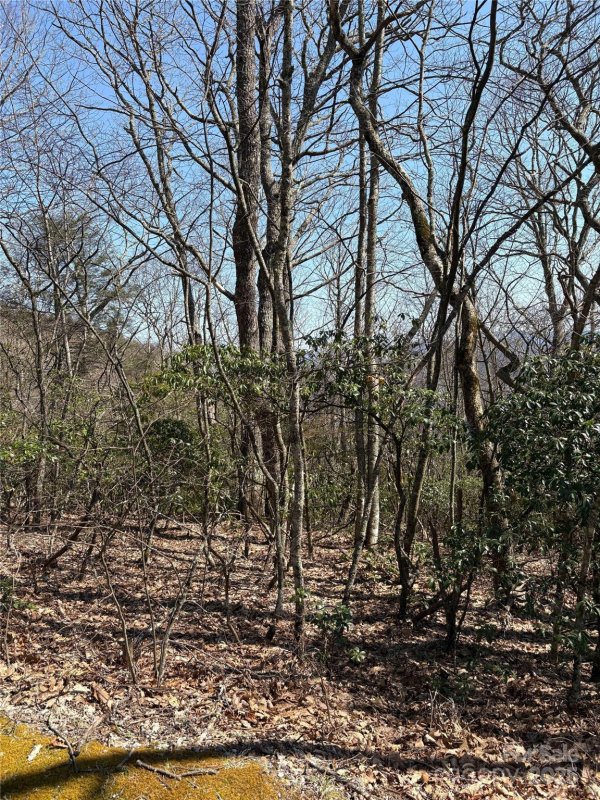 Property image 5 at Tbd Leatherwood Road, Maggie Valley, NC 28751
