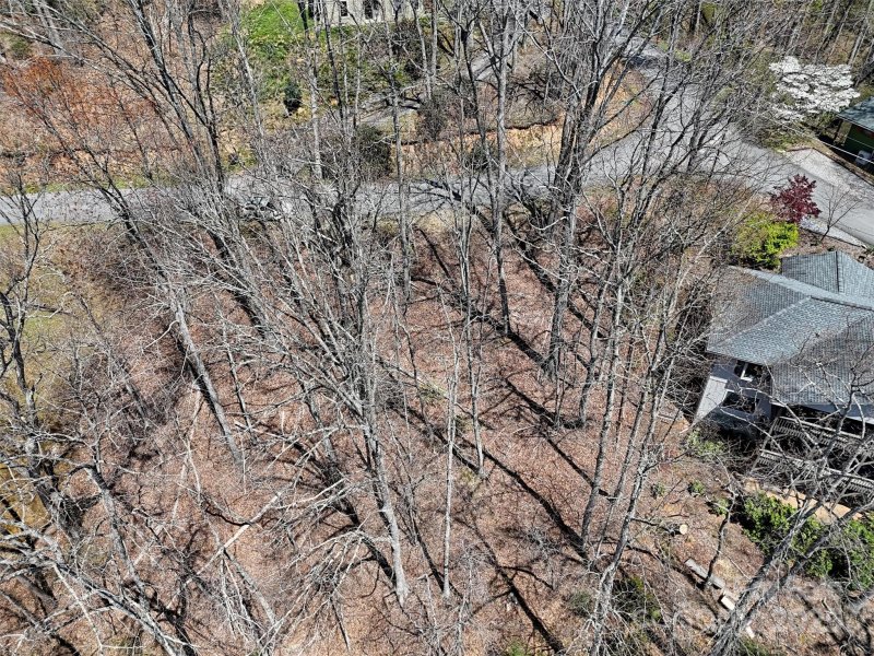 Property image 3 at 847 Mouzon Road, Waynesville, NC 28785