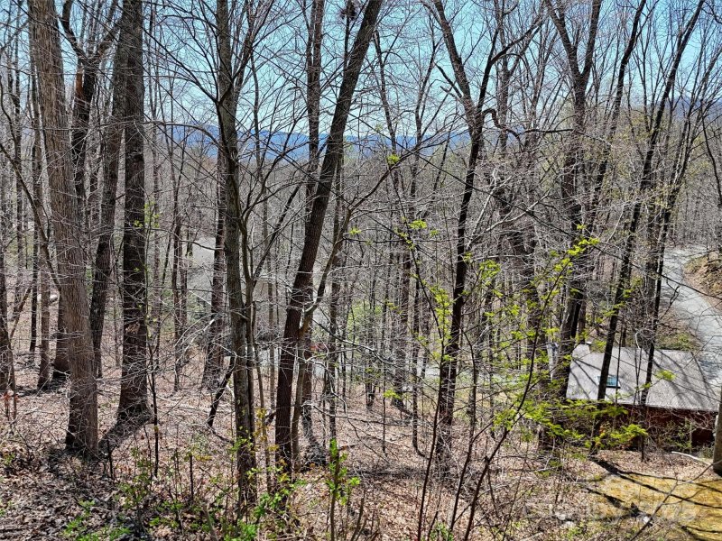 Property image 4 at 847 Mouzon Road, Waynesville, NC 28785