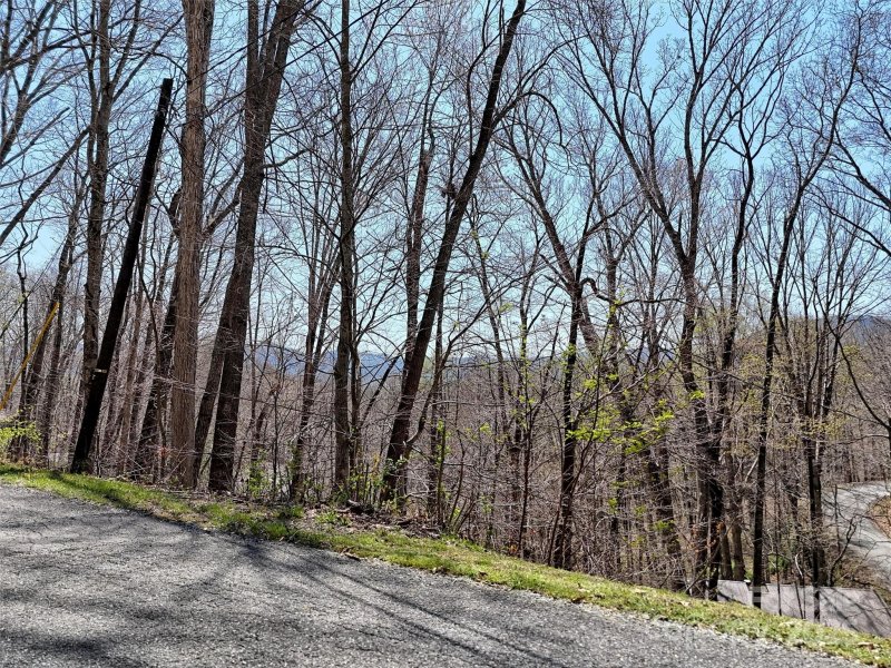 Property image 5 at 847 Mouzon Road, Waynesville, NC 28785