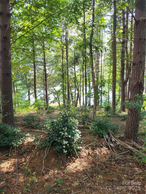 Property image 2 of Tba Scenic Lane in The Waterfront Club, Granite Falls, NC 28630