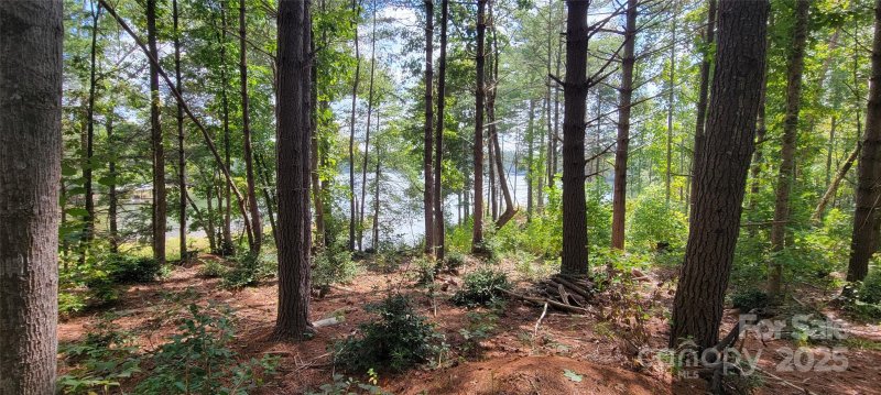 Property image 4 of Tba Scenic Lane in The Waterfront Club, Granite Falls, NC 28630