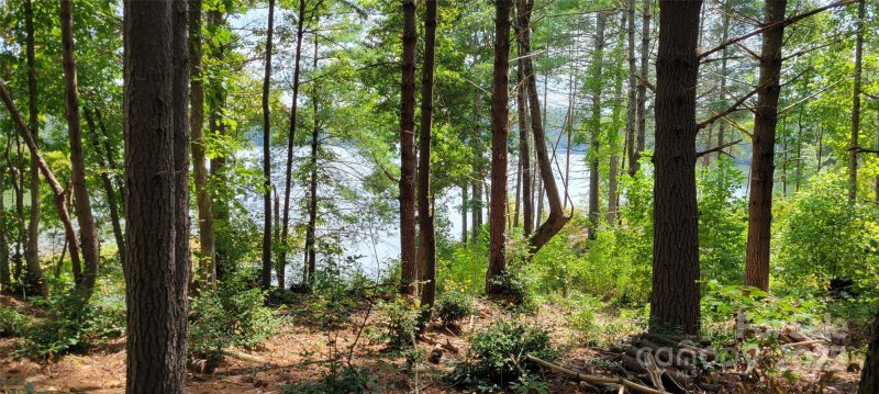 Property image 5 of Tba Scenic Lane in The Waterfront Club, Granite Falls, NC 28630