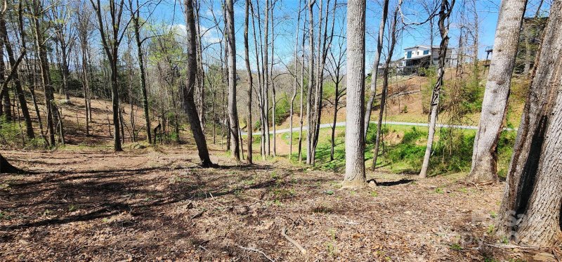 Property image 3 of 31 Sweet Fern Parkway in Olivette, Asheville, NC 28804