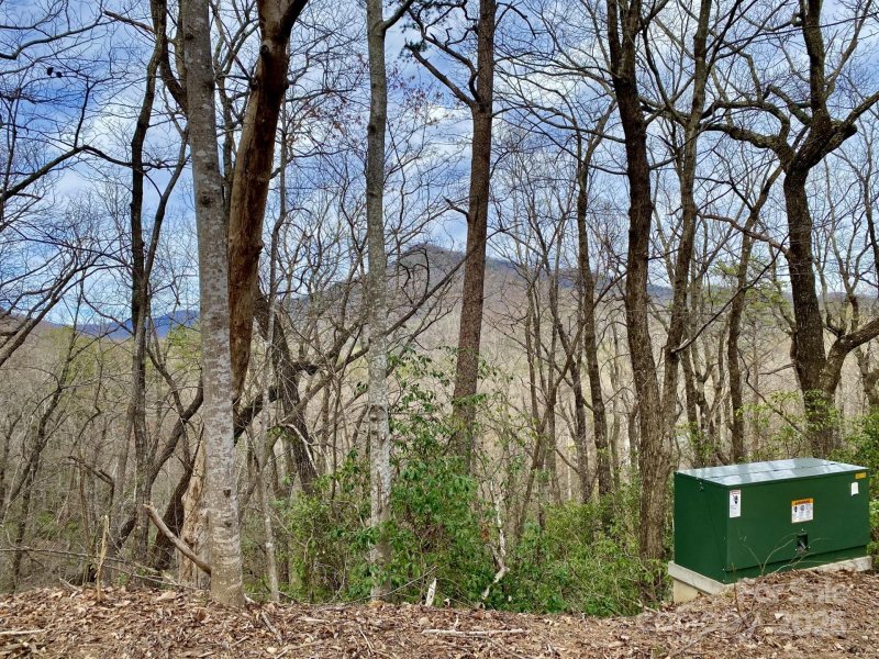 0 Rumbling Bald Road