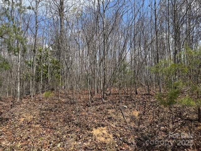 Property image 3 of 192 Pine Cone Trail in Firefly Mountain, Marshall, NC 28753