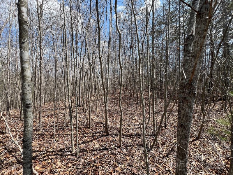 Property image 4 of 192 Pine Cone Trail in Firefly Mountain, Marshall, NC 28753