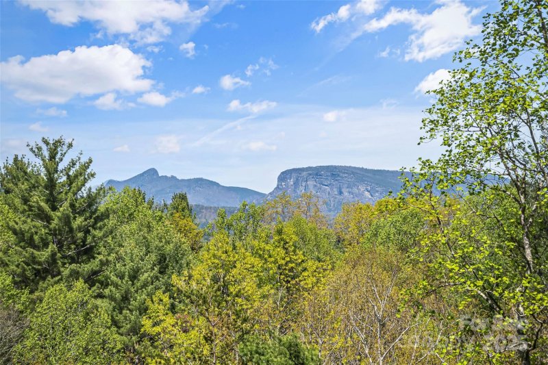 Property image 4 of 44 Sycamore Drive in The Arbor at Lake James, Nebo, NC 28761