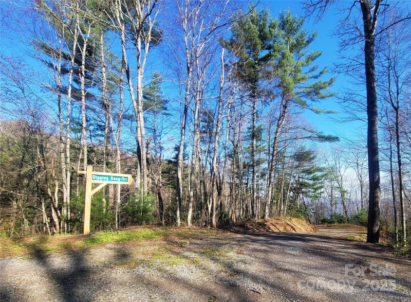 Property image 3 of 111 Digging Seng Trail in Preserve at Chestnut Flats, Waynesville, NC 28785