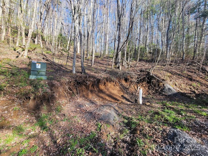 Property image 4 of 111 Digging Seng Trail in Preserve at Chestnut Flats, Waynesville, NC 28785