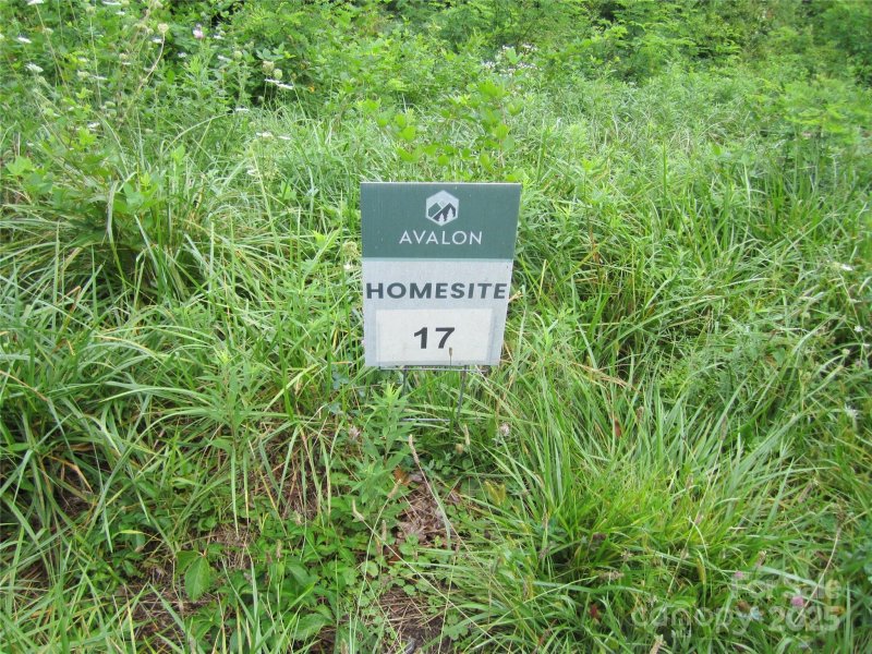 Property image 2 of 000 Signature Row Lot 17 Boulevard in Avalon, Waynesville, NC 28785