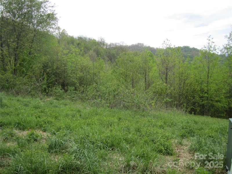 Property image 4 of 000 Signature Row Lot 17 Boulevard in Avalon, Waynesville, NC 28785