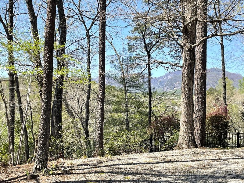 Property image 2 at 0 Sparrows Way, Lake Lure, NC 28746